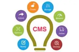 Content Management System