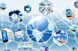 Custom Application Developement